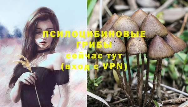 каннабис Алзамай