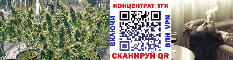 где можно купить   маркетплейс как зайти  Дистиллят ТГК вейп  Ноябрьск 