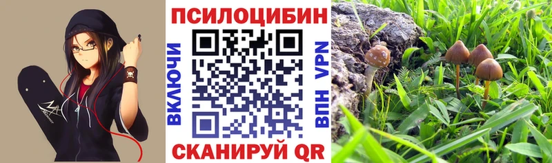 Галлюциногенные грибы ЛСД  даркнет сайт  Ноябрьск 